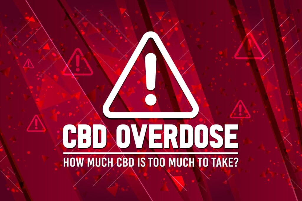 Can You Overdose On CBD? How Much Is Too Much To Take?