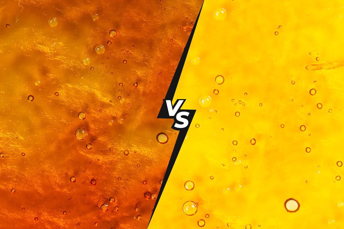 Compare CBD extraction types to find the best one for you.