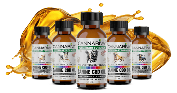 Full Spectrum CBD Oil for Dogs Lab Tests
