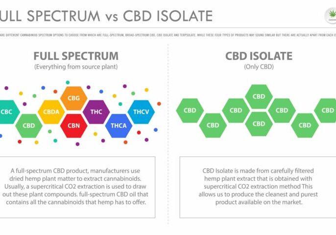 Different Types of CBD - Full Spectrum vs Isolate vs Broad Spectrum