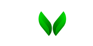 Biva Nutrition Logo - Dark BG