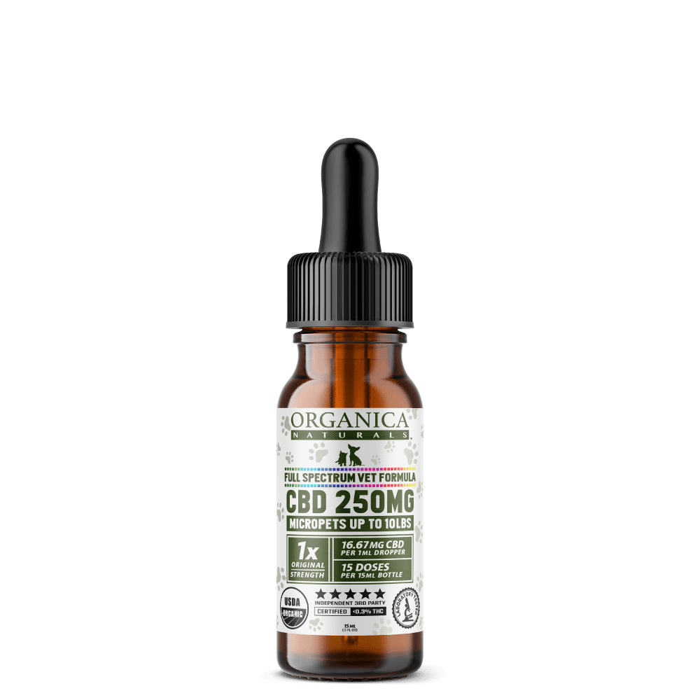 Full Spectrum and Broad Spectrum CBD Oil - Custom Label