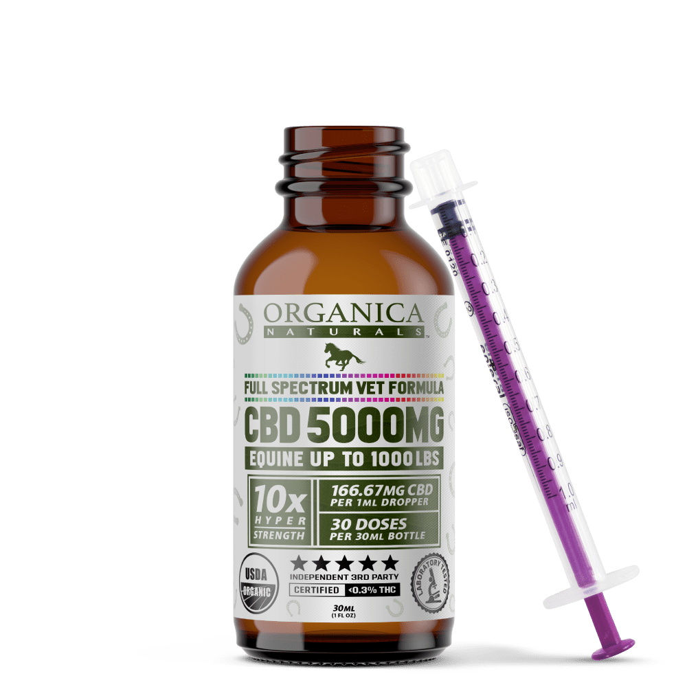5000 mg Horse CBD Oil Tincture | Organic Veterinary Wholesale - Image 4